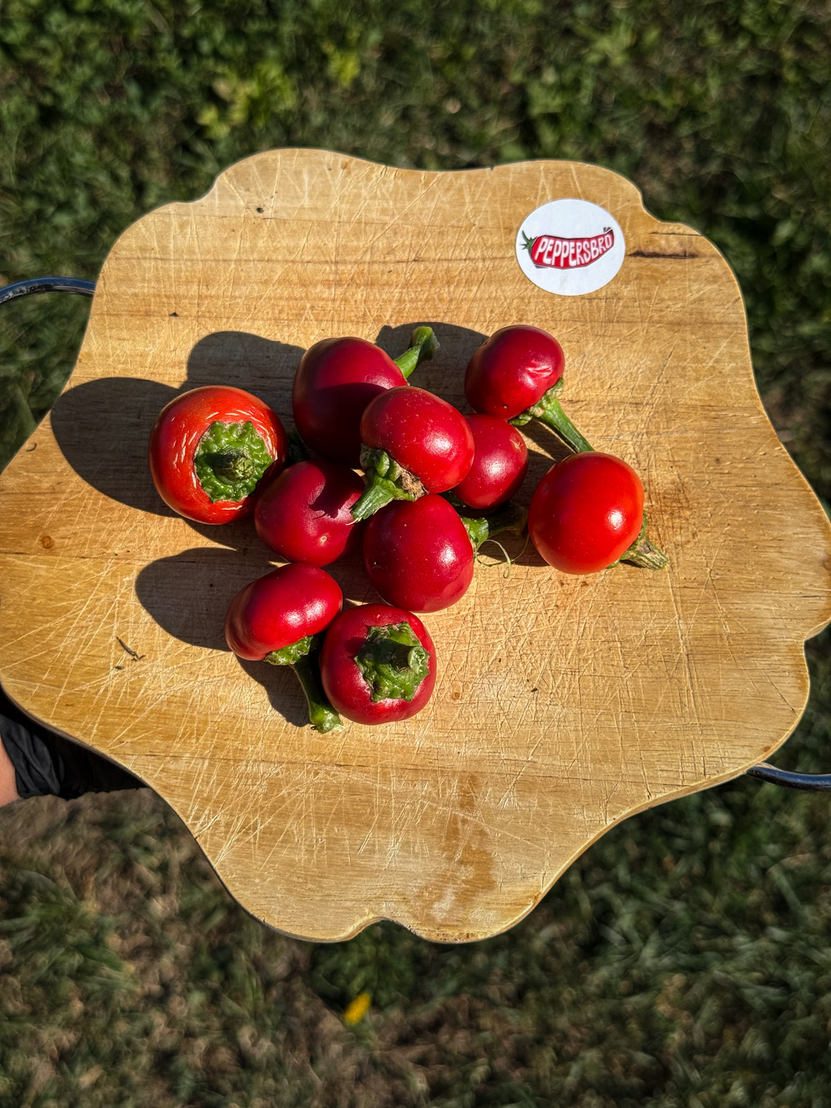 Small Cherry