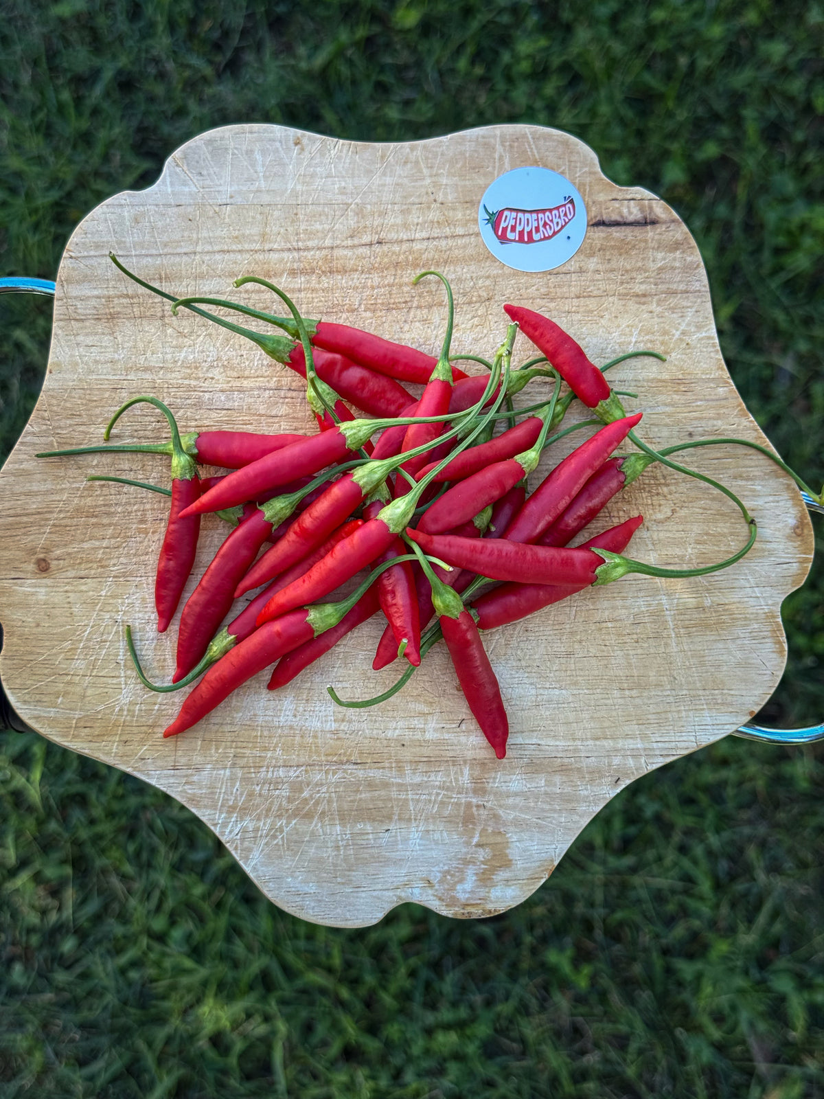 Aji Peruvian