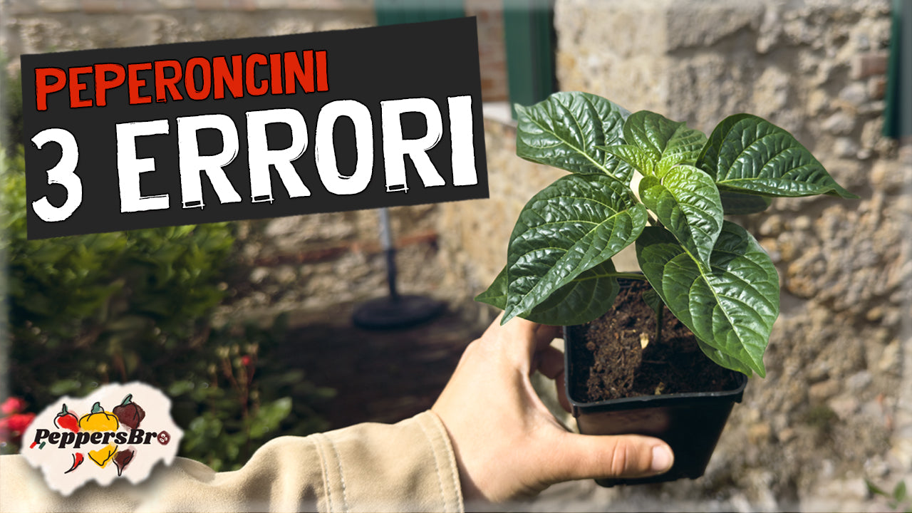Carica il video: 