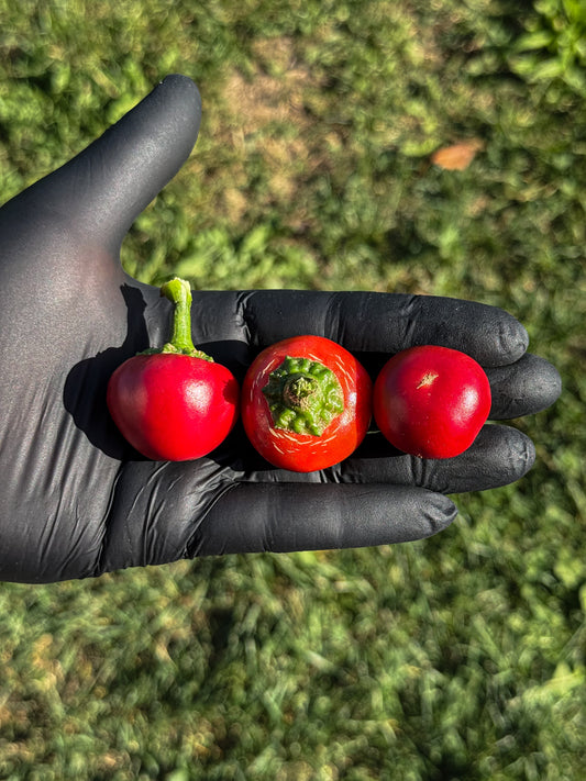 Small Cherry