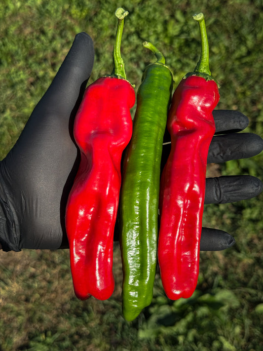 Red Banana