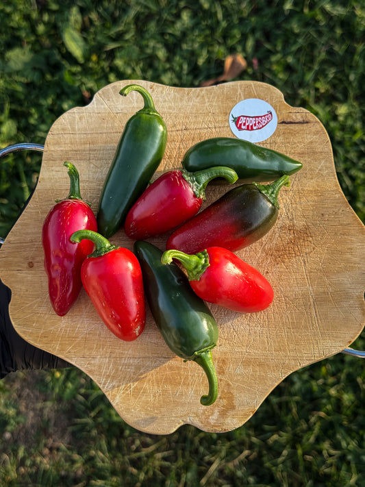Jalapeño
