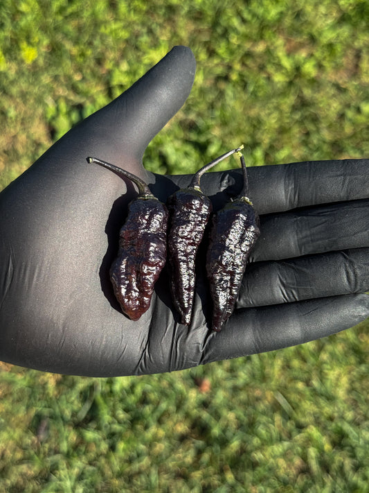 Pimenta Black Jolokia