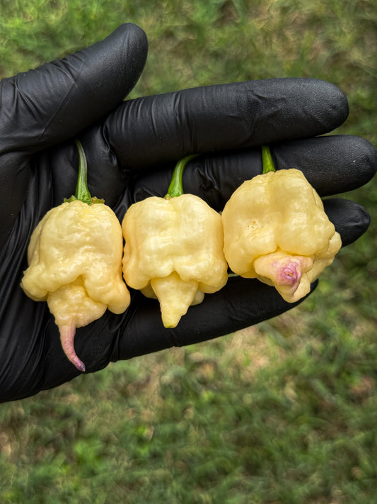 Jays X Pink X Reaper Lemon
