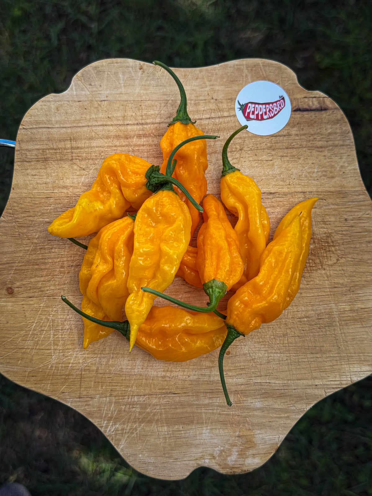 Fatalii