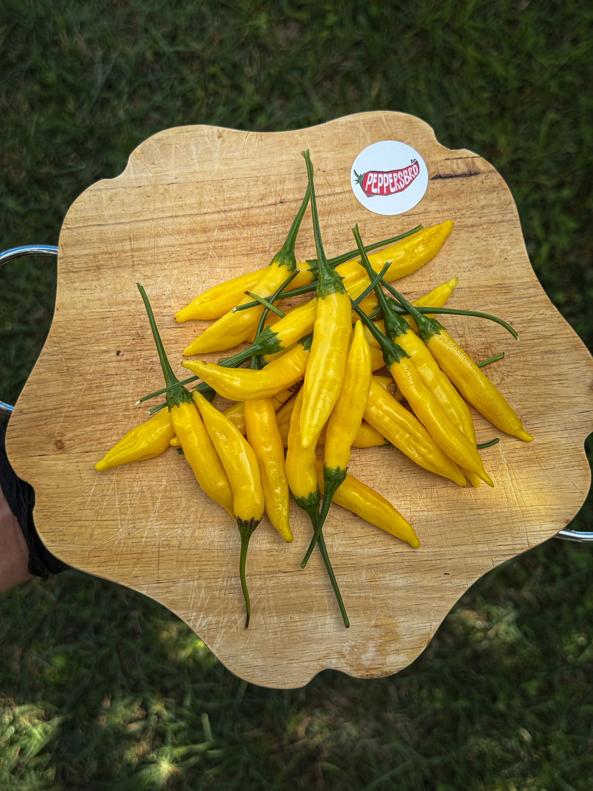 Aji Lemon