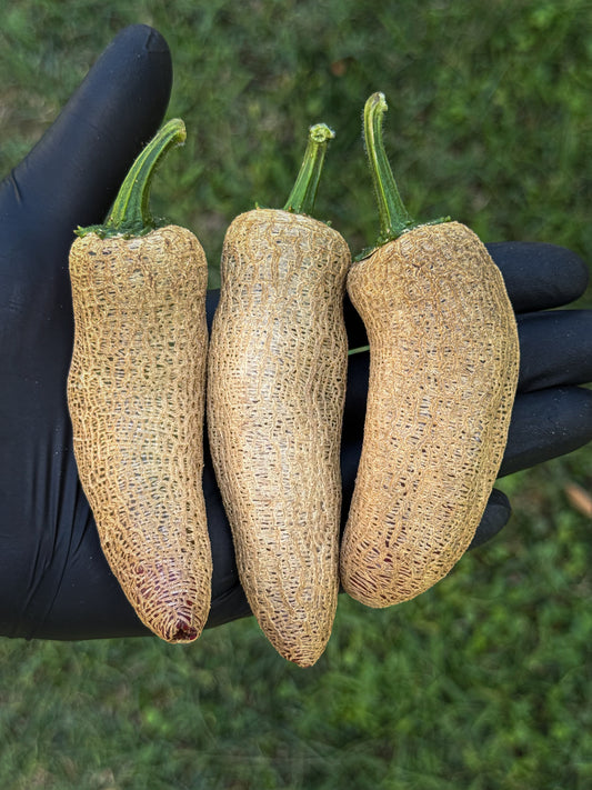 Jalapeño Farmer Market