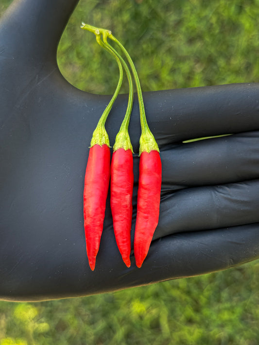 Aji Peruvian