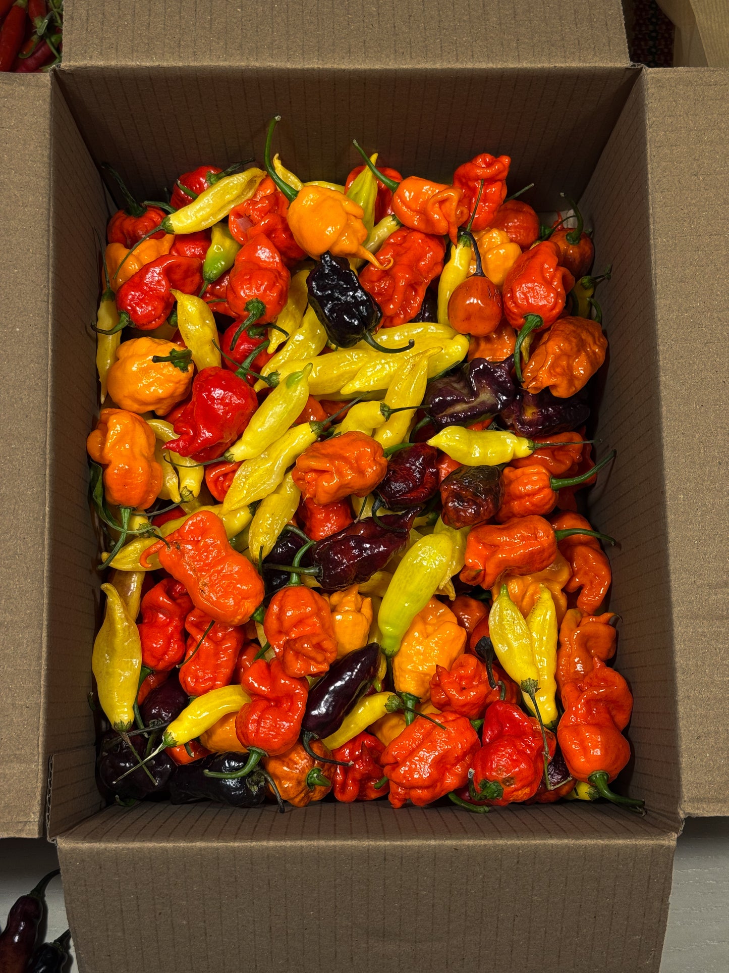 Sacchettino Peperoncini Mix PeppersBro