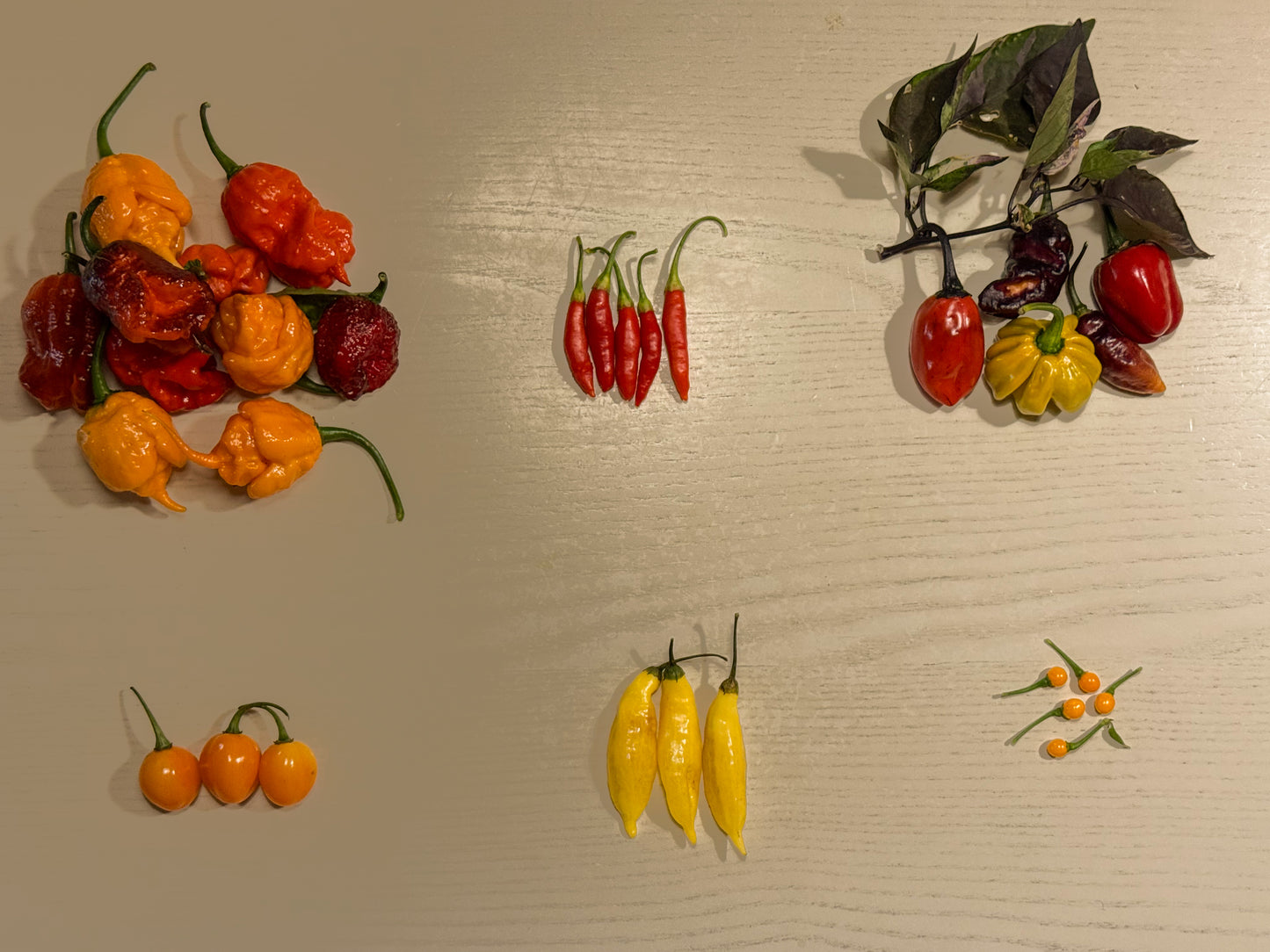 Sacchettino Peperoncini Mix PeppersBro