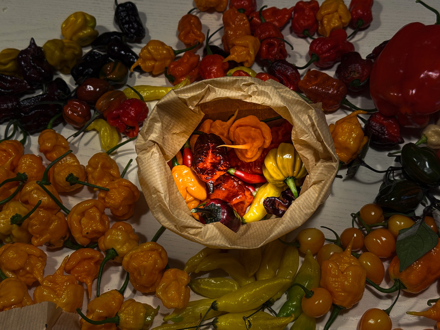 Sacchettino Peperoncini Mix PeppersBro