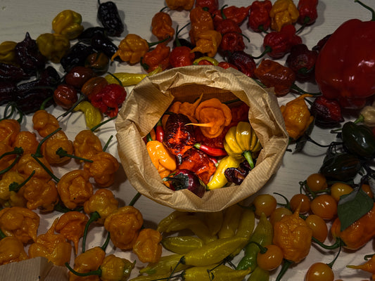 Sacchettino Peperoncini Mix PeppersBro