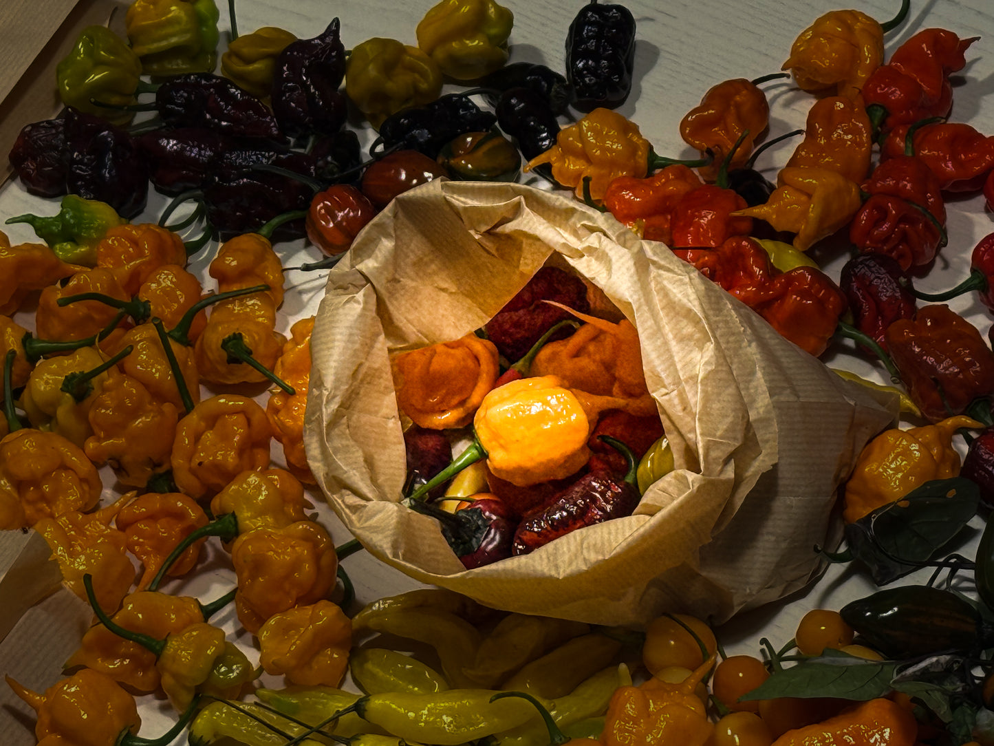 Sacchettino Peperoncini Mix PeppersBro